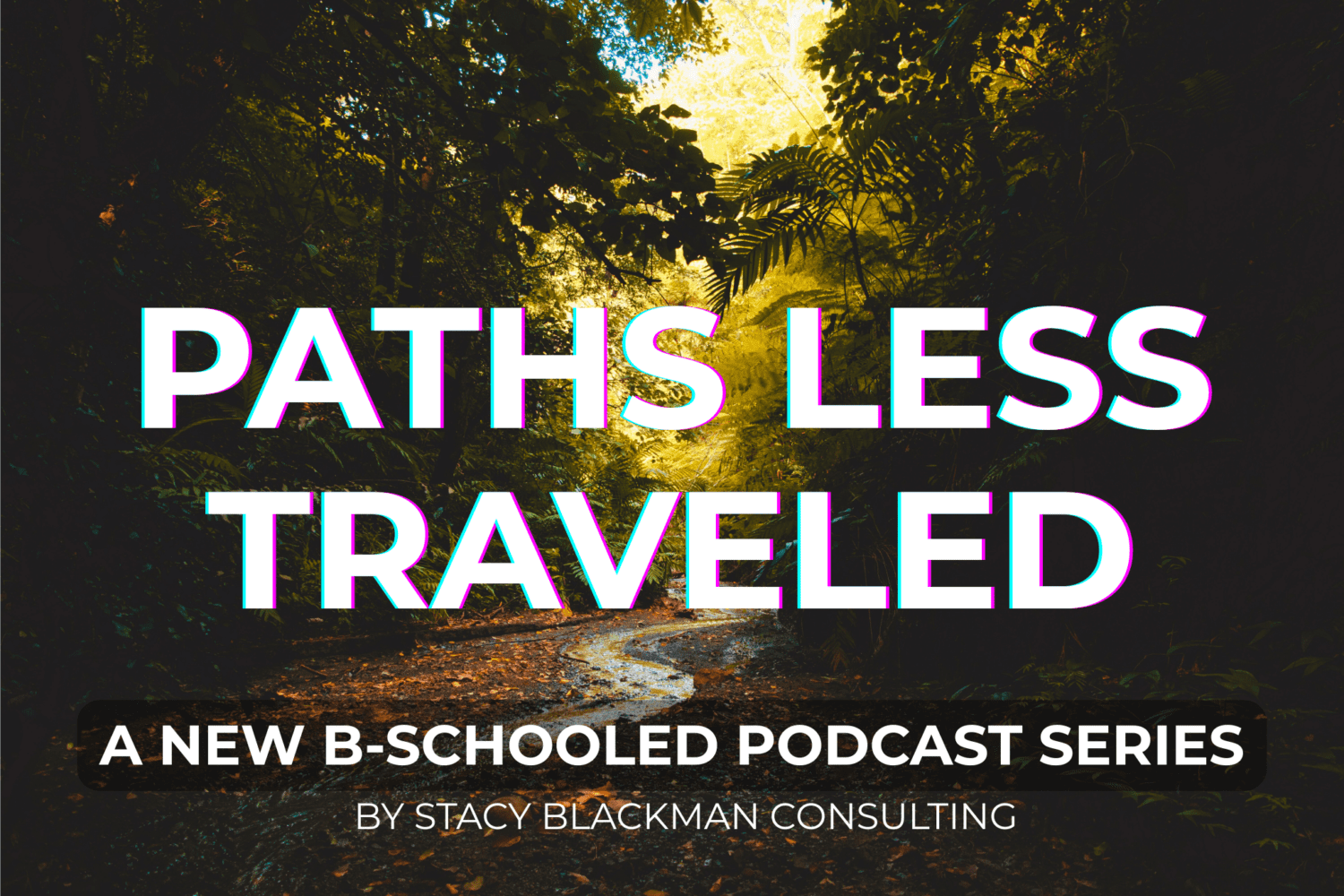 Forest path with sunlight breaking through trees, symbolizing nontraditional MBA career paths and long-term professional journeys.