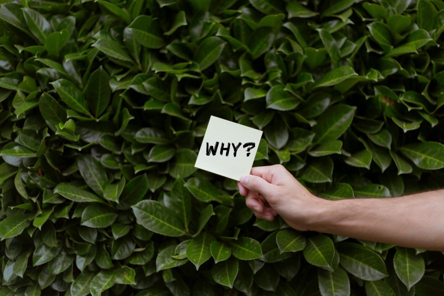 the why in mba applications