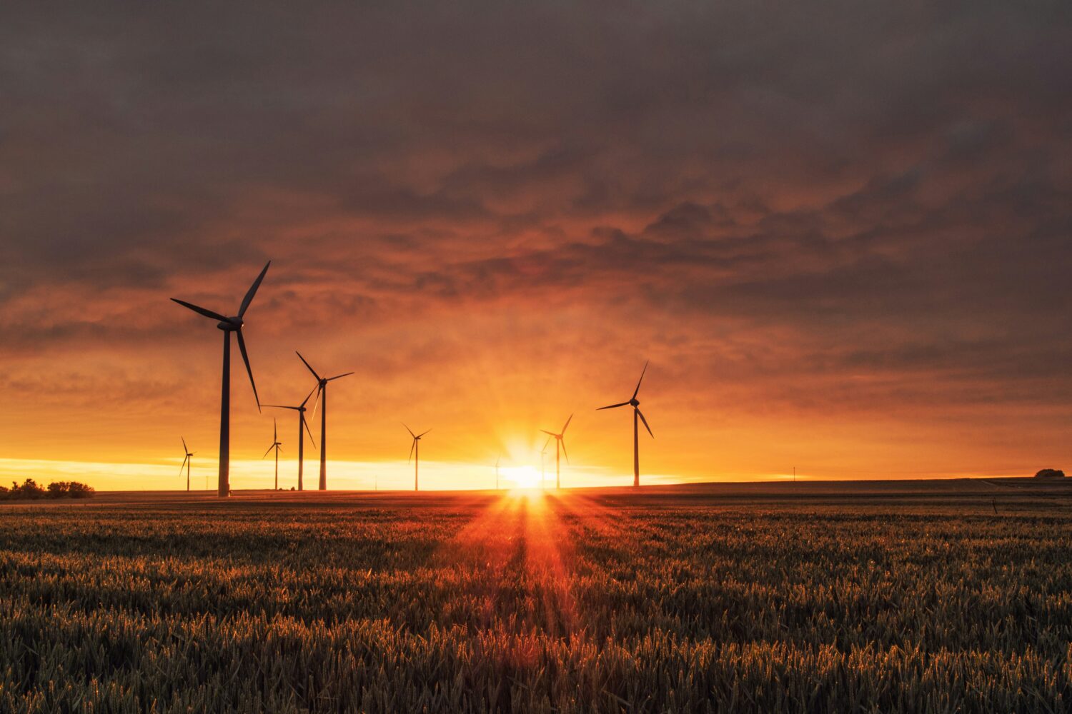 Best MBA Programs for Energy Careers